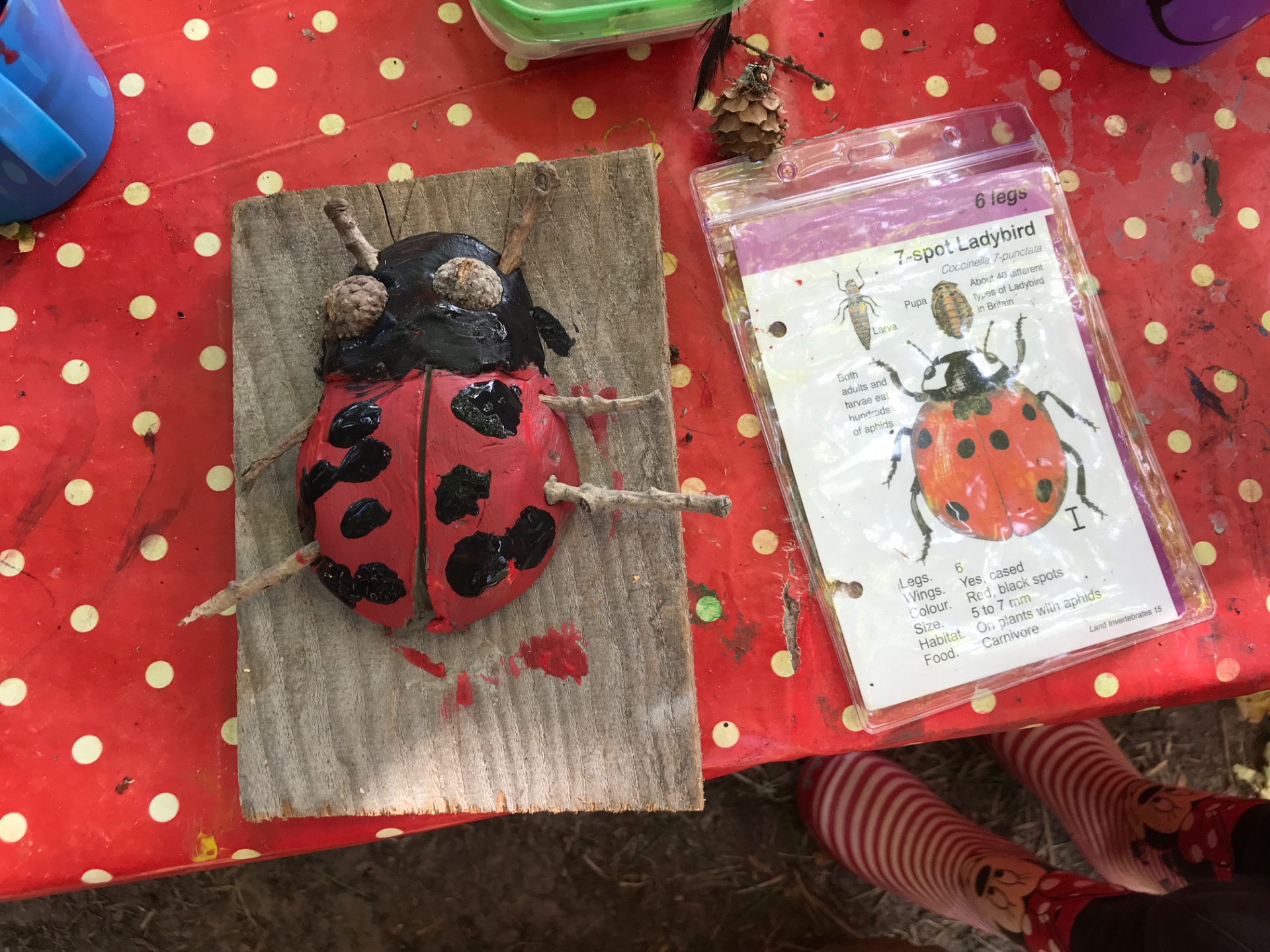 Bug Hunting & sculptures Family workshop block mentored by Hakeford Woods CIO