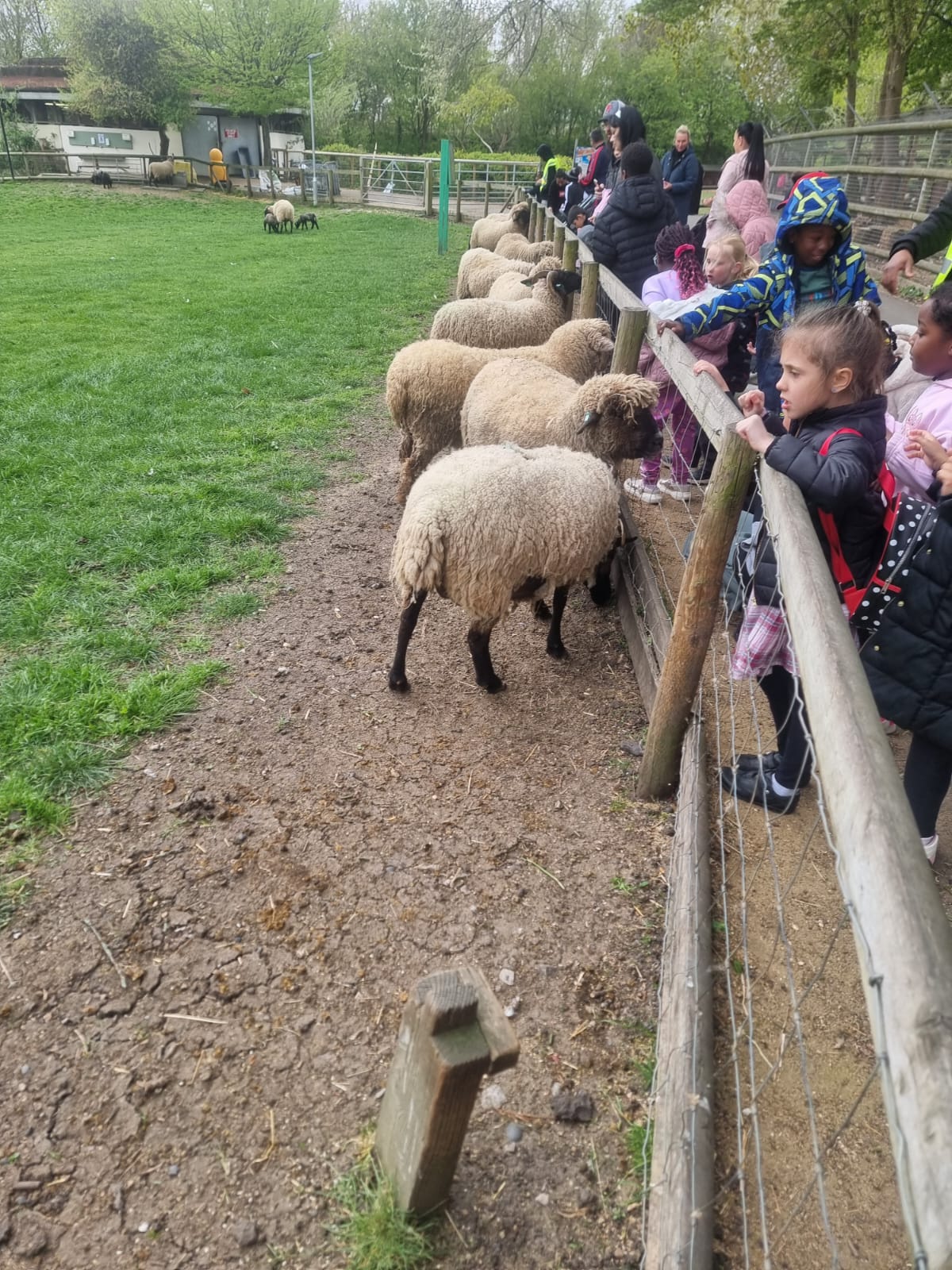 Sphere Holiday Hub (Christmas) - image 10