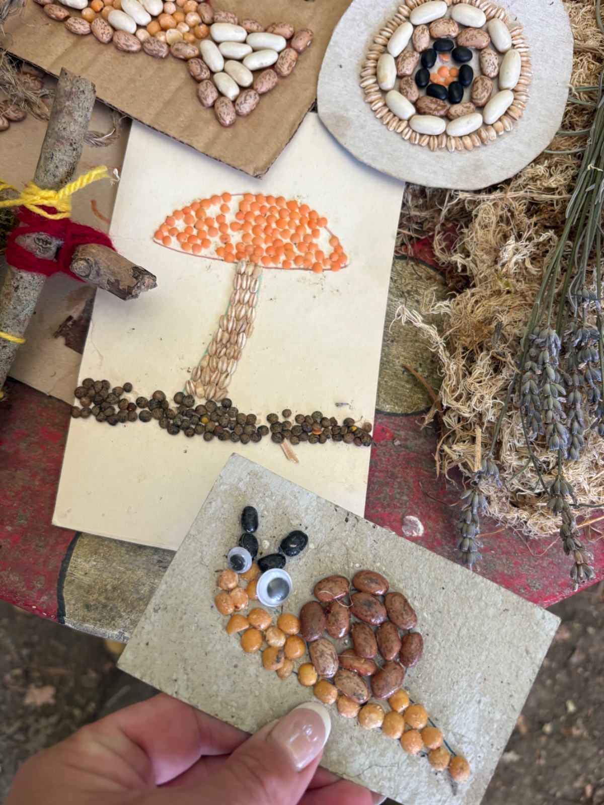 Fungi, Fire and Family Fun! - image 14