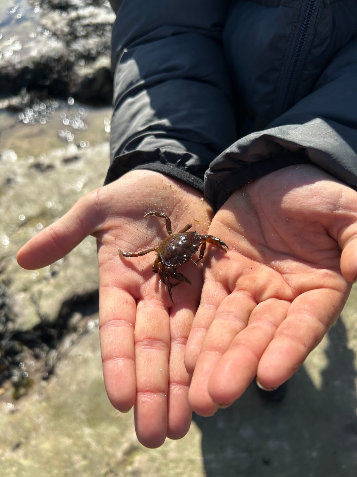 Nature Discovery Day@Bridlington - image 2