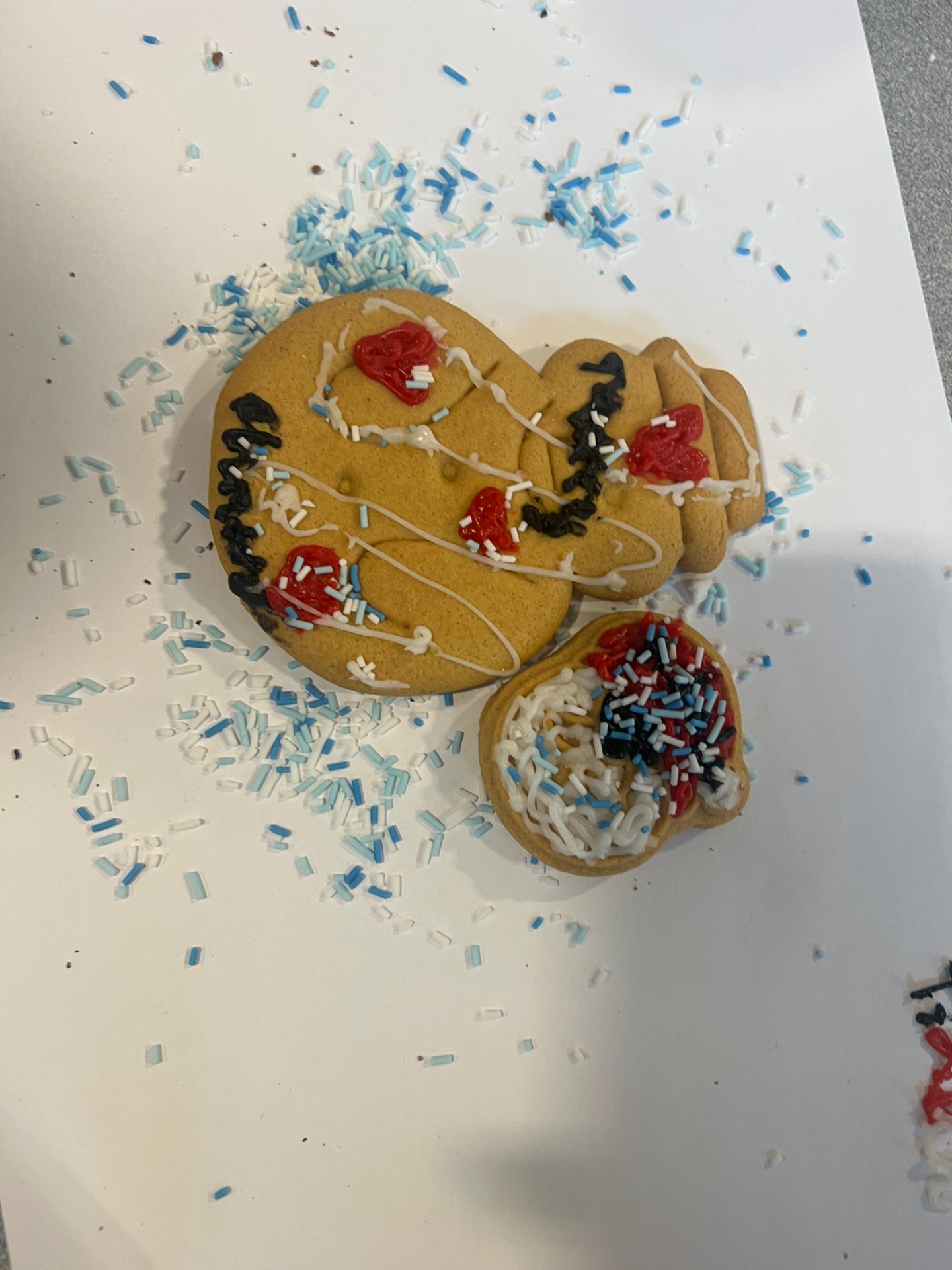 Pixie Magic's HAF Christmas Camp 2025 - image 16