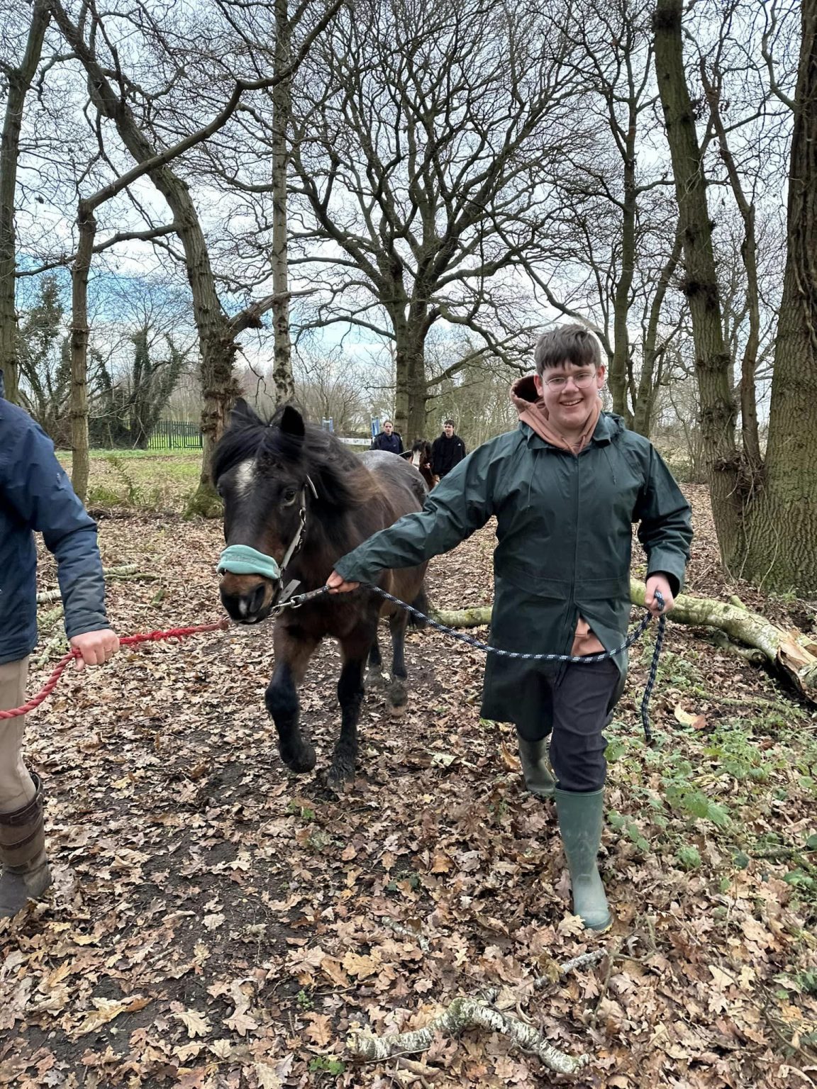 Supporting wellbeing through horses - image 2