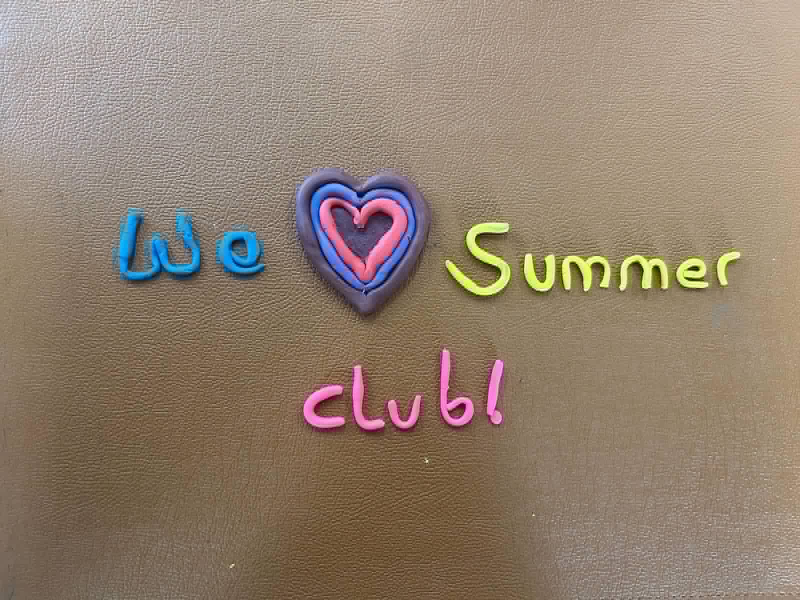 Shap School Summer Holiday Club - image 14