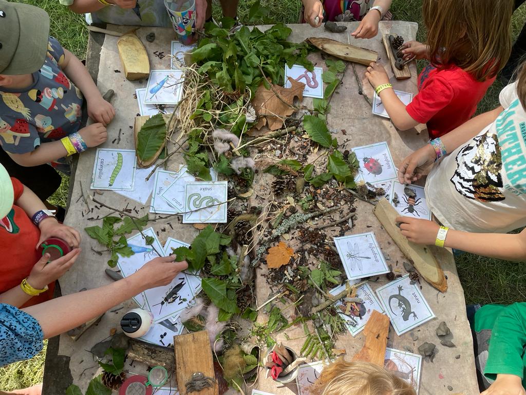 Bug Hunting & sculptures Family workshop - image 2