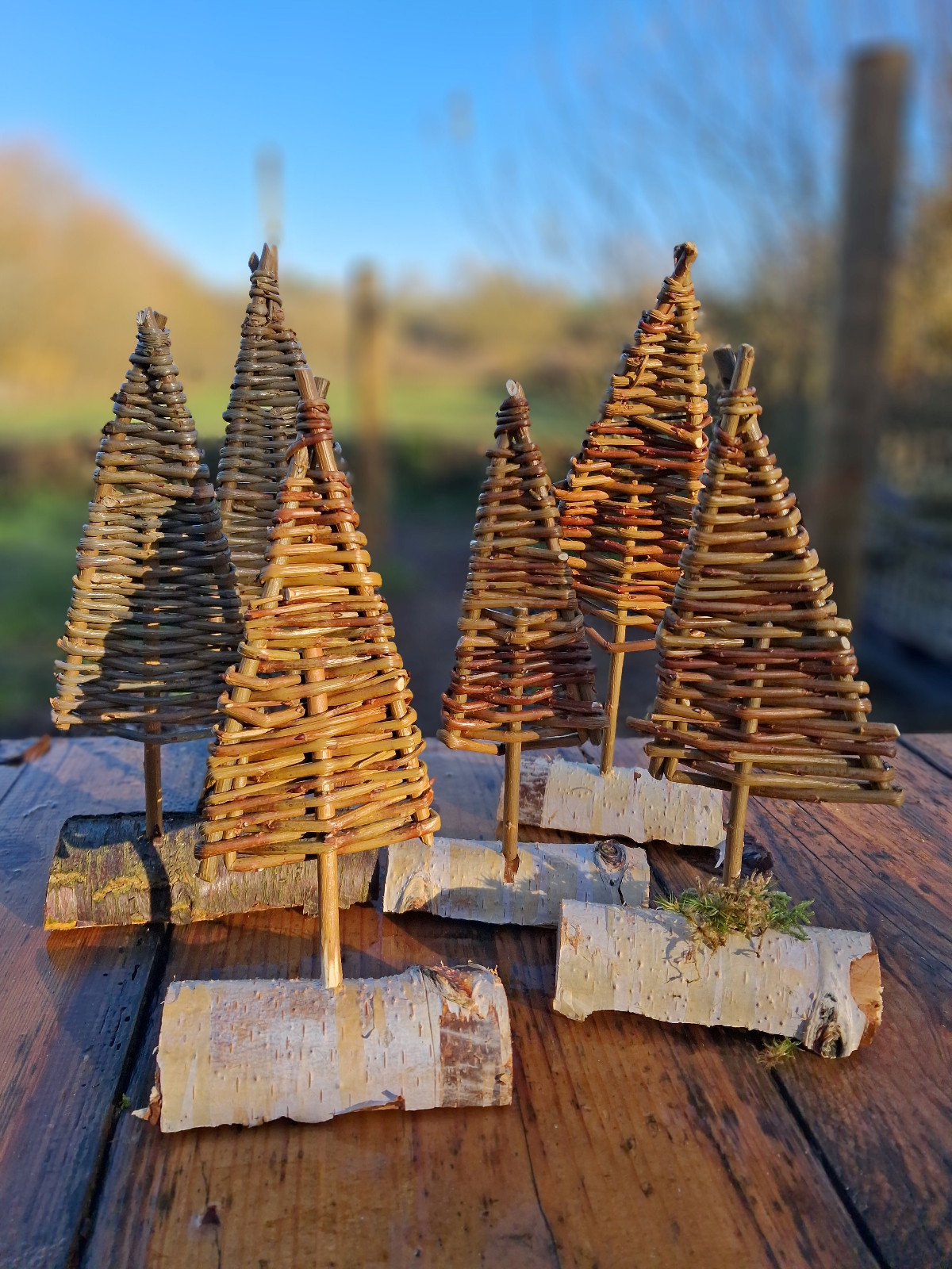 Natural Winter Decoration Making Workshop block mentored by Wildly Curious