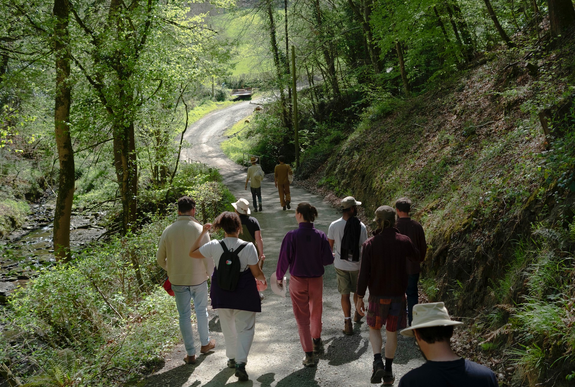 Embodied Ecology - image 8