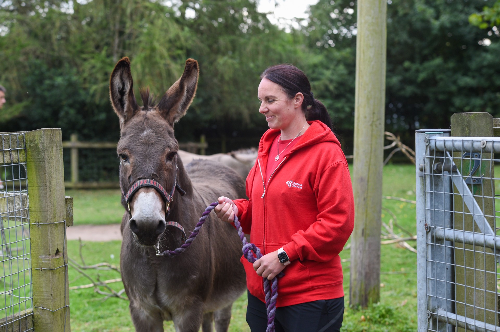 Blacon Adventure Playground - image 10