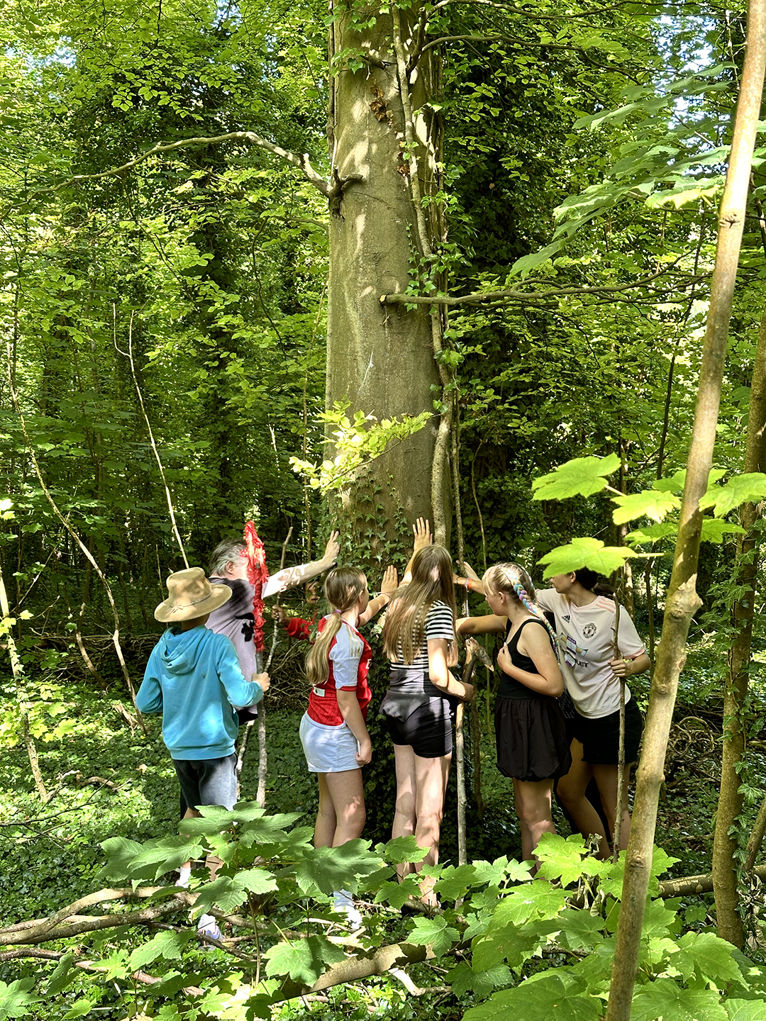 Forest, Drama and Conservation Workshops - image 9