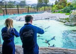 Kindi Famili visit to Chester Zoo - image 3
