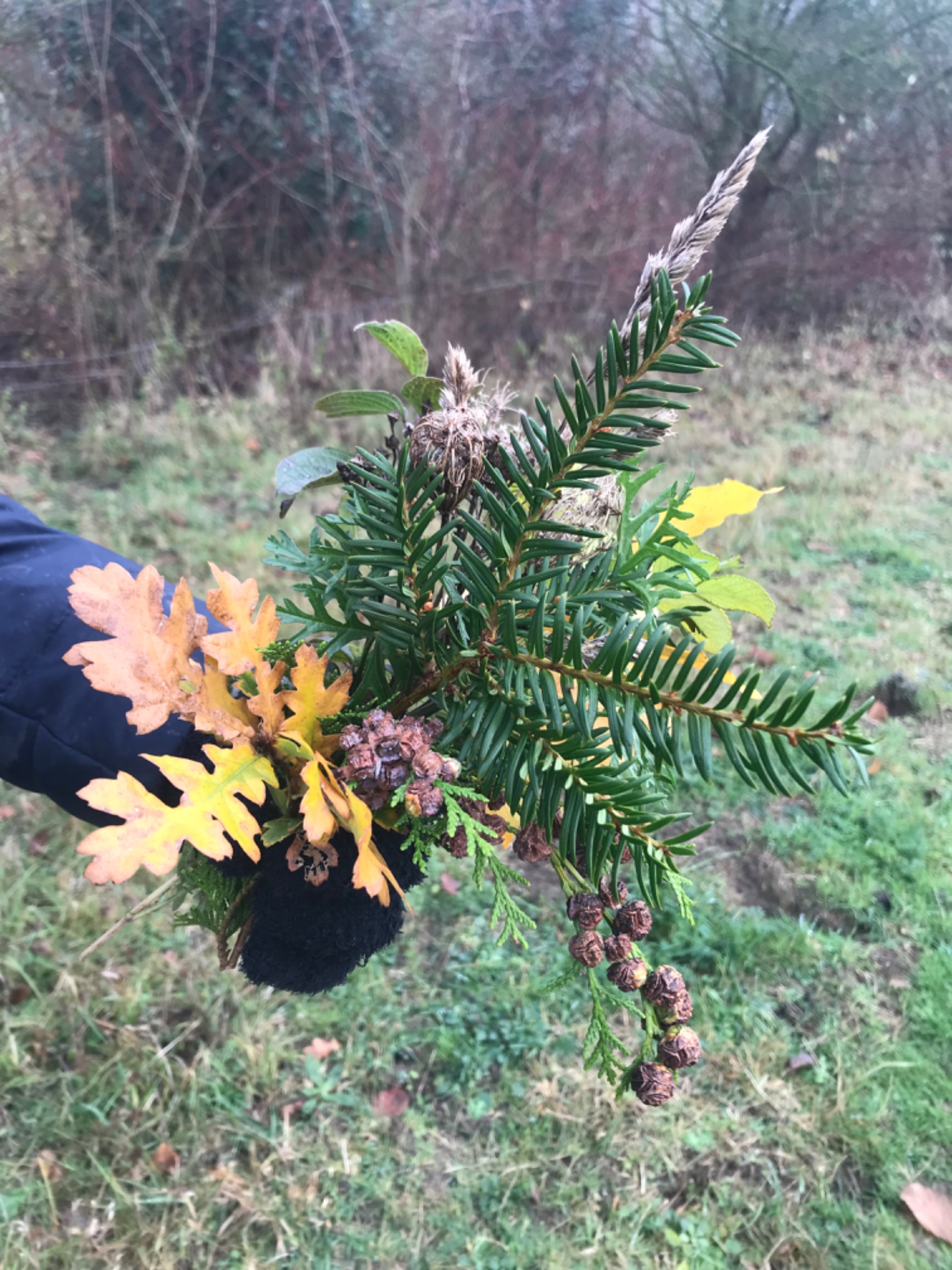 Thornham Walks Forest Bathing - image 2