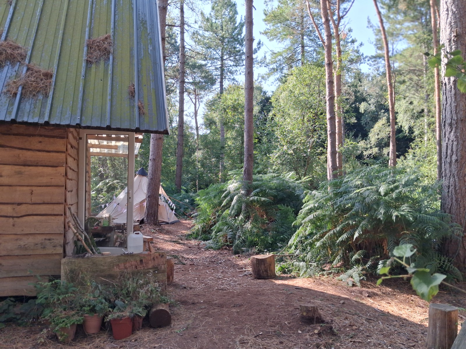 Woodland holiday club Summer HAF - image 9