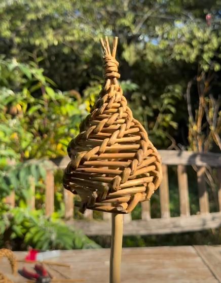 Willow Projects for Outdoor Practitioners block mentored by Wildly Curious