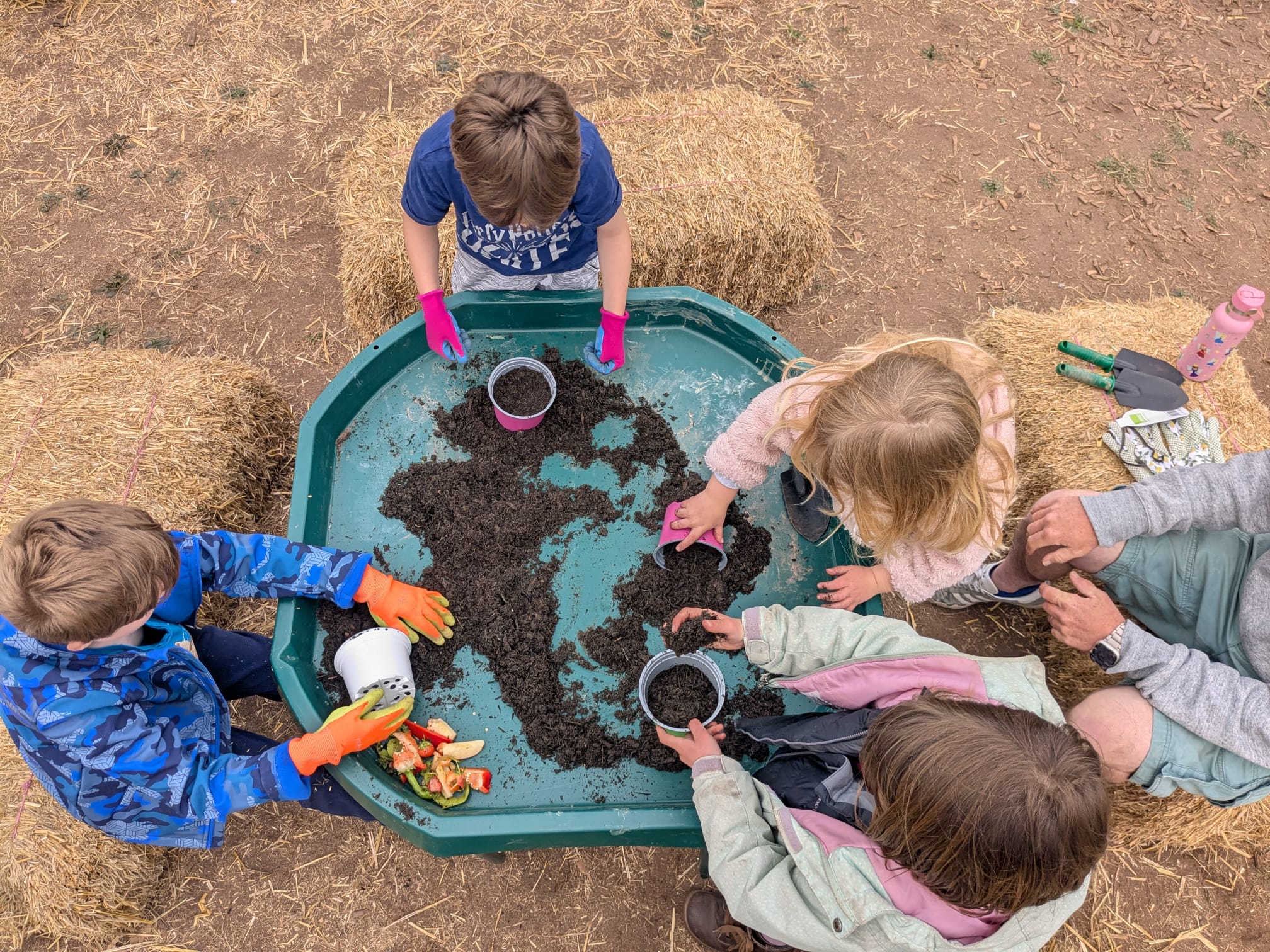 Little Spring Gardeners - image 4