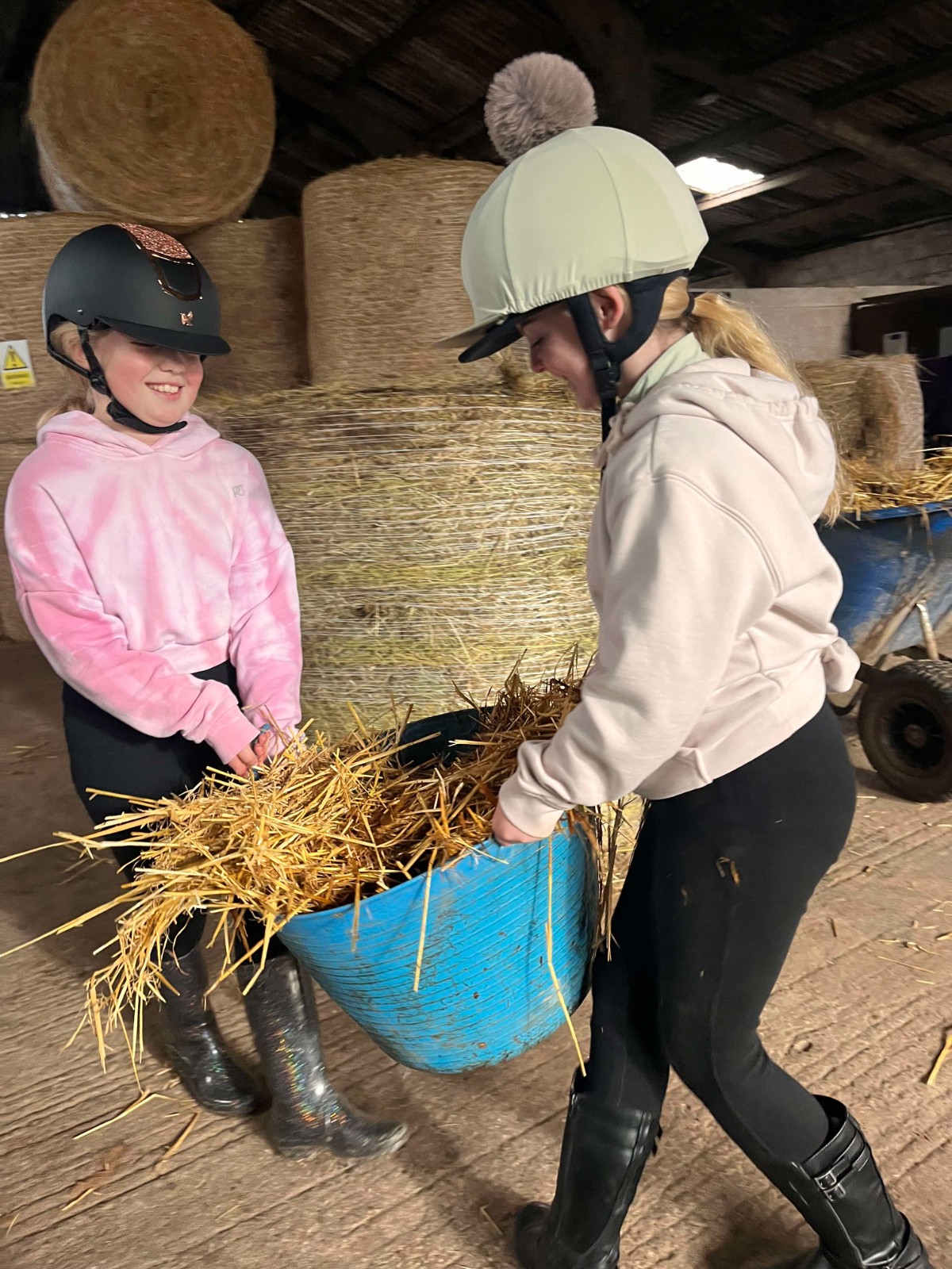 Secondary Horse & Pony Experience @HowdenEques - image 10