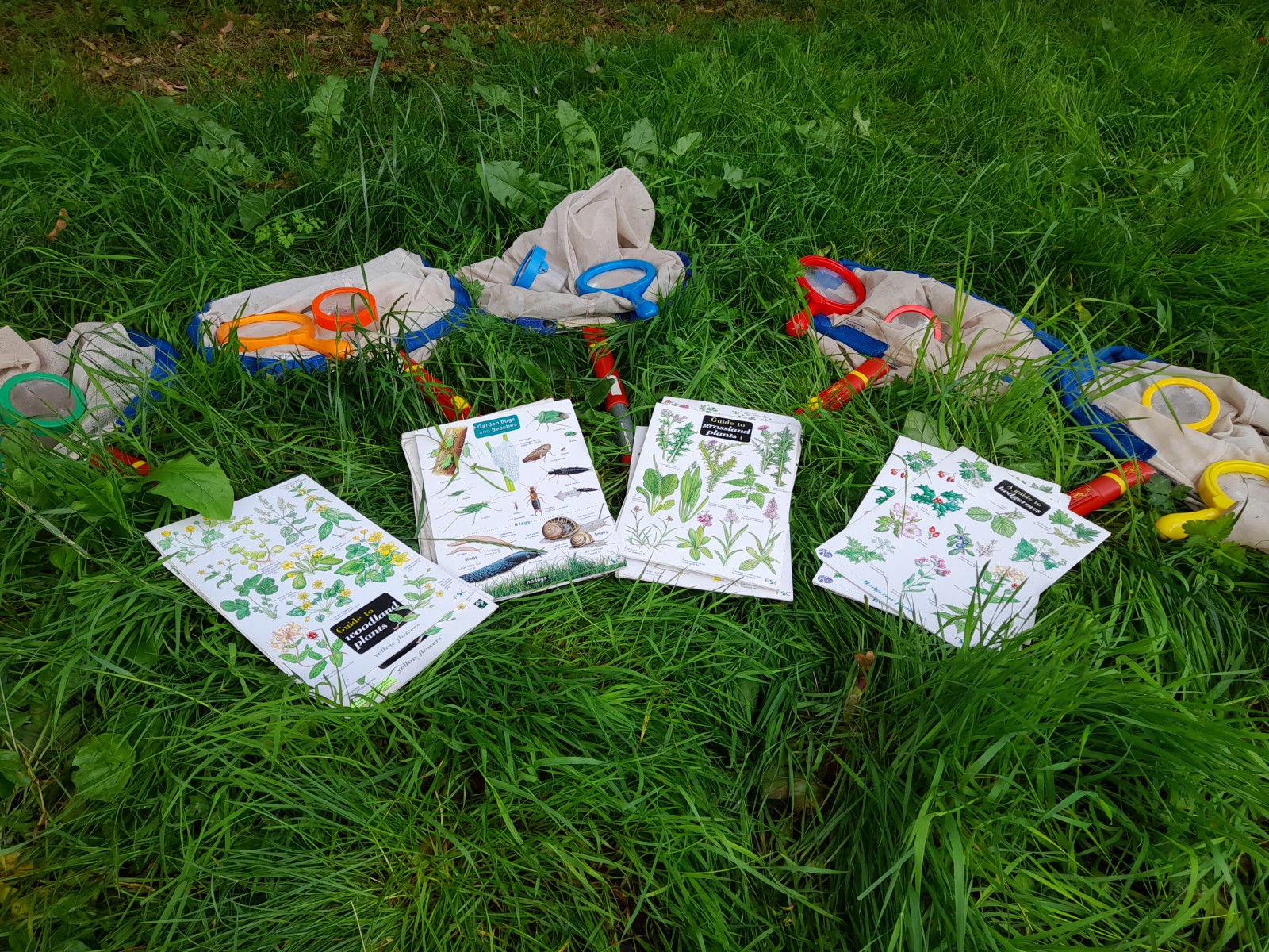 Staffs Wildlife Signs of Spring Wildfamilies - image 5