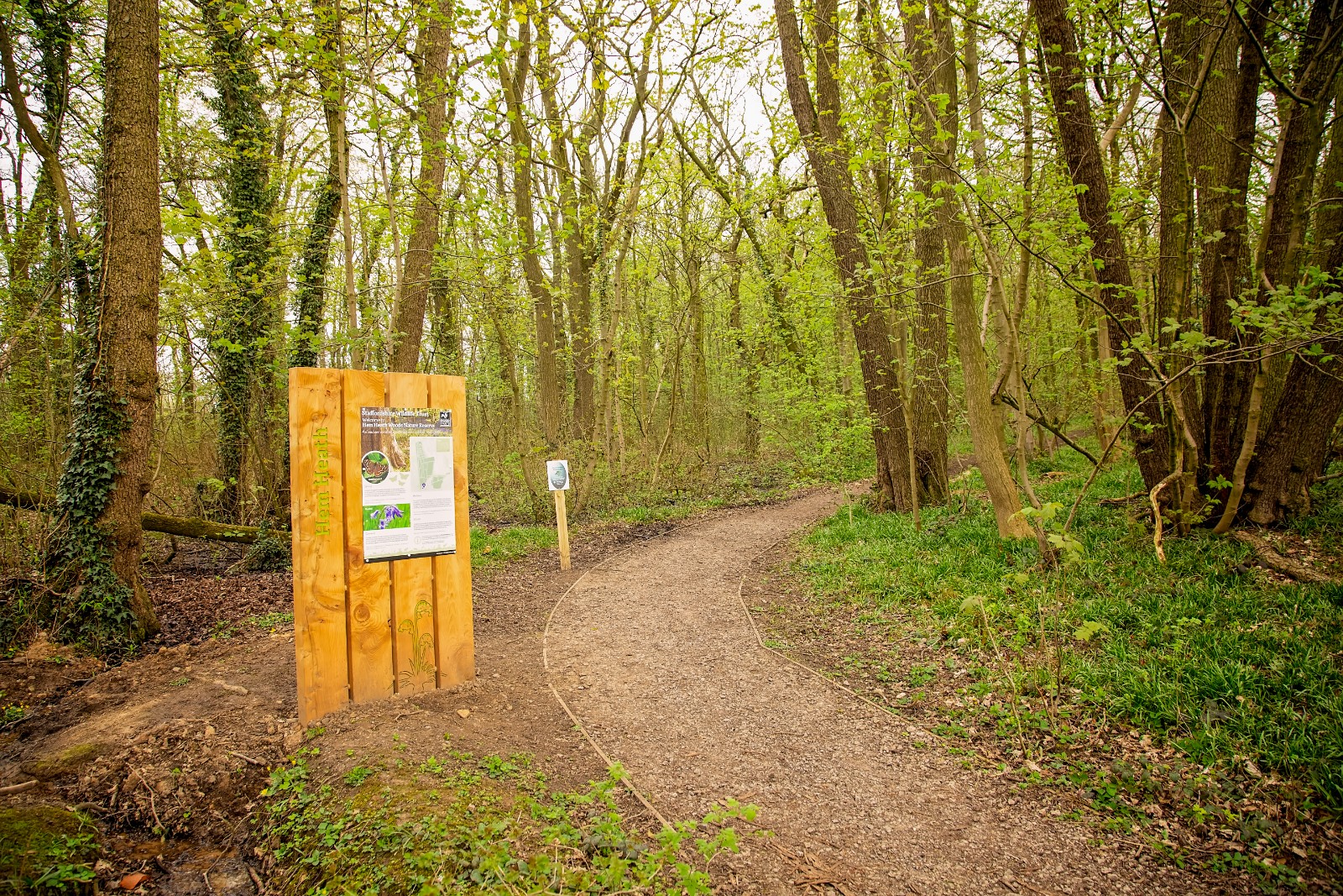 Wildflower Wildfamilies at Hem Heath Woods - image 8
