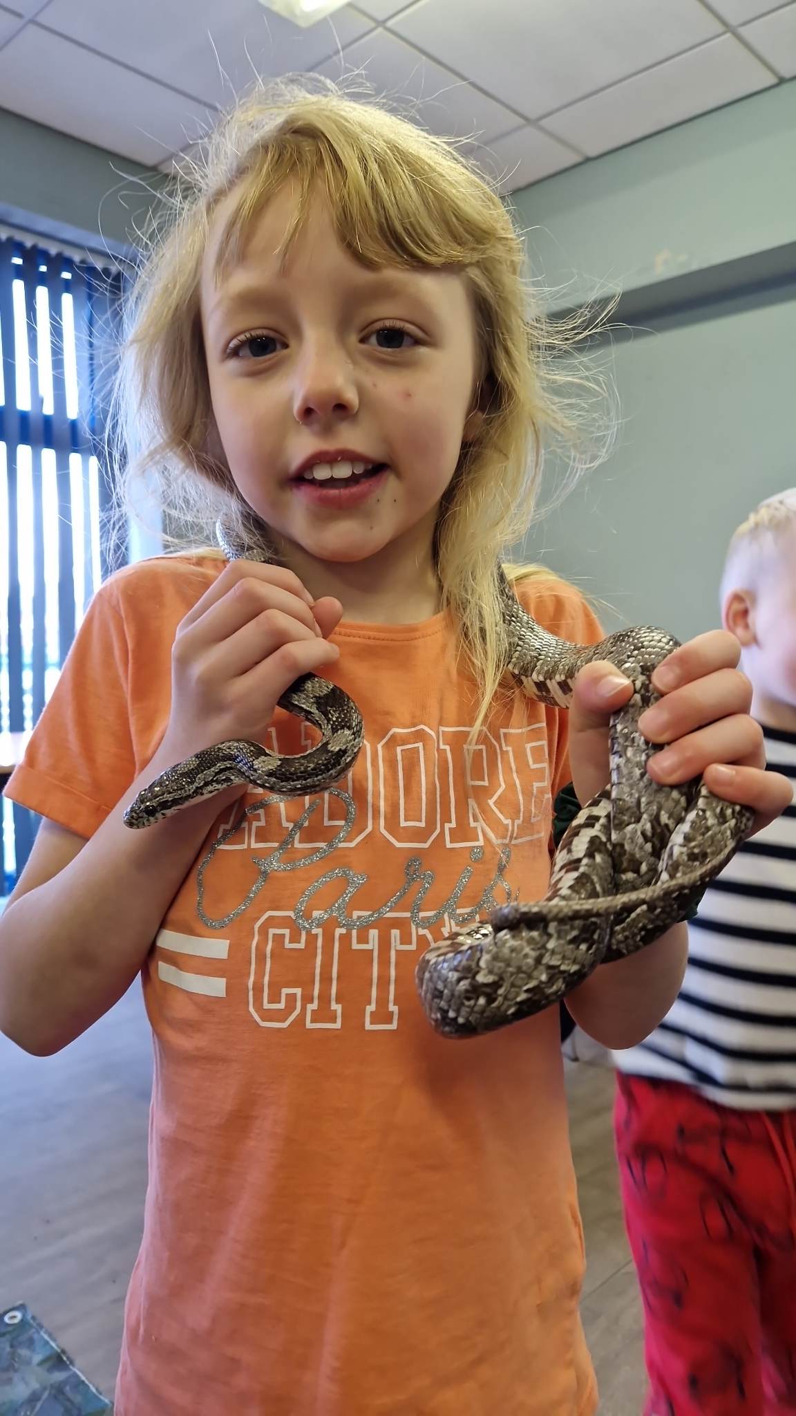 The Grove Community Hub - HAF Club - image 28