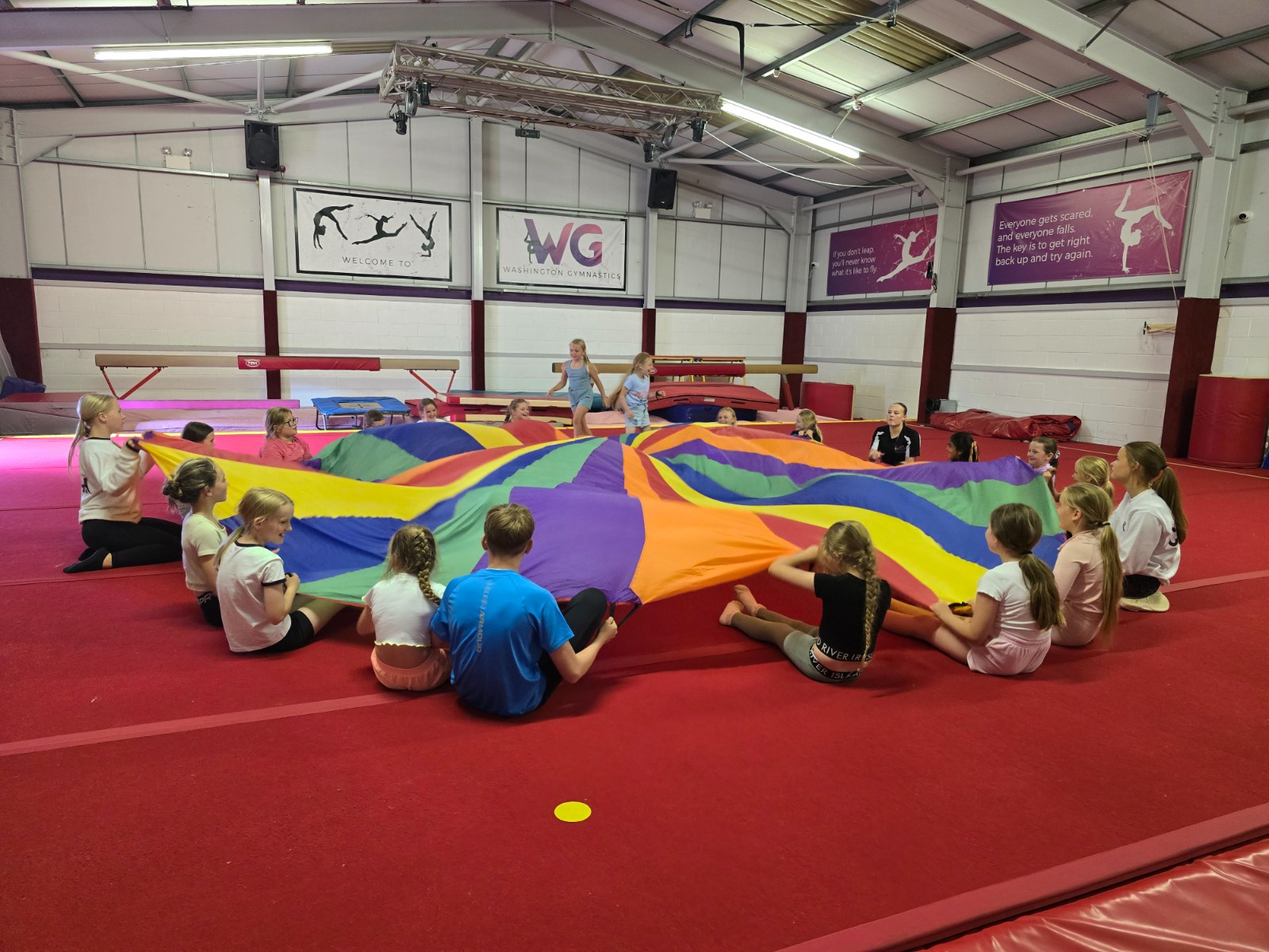 Washington Gymnastics HAF - image 3