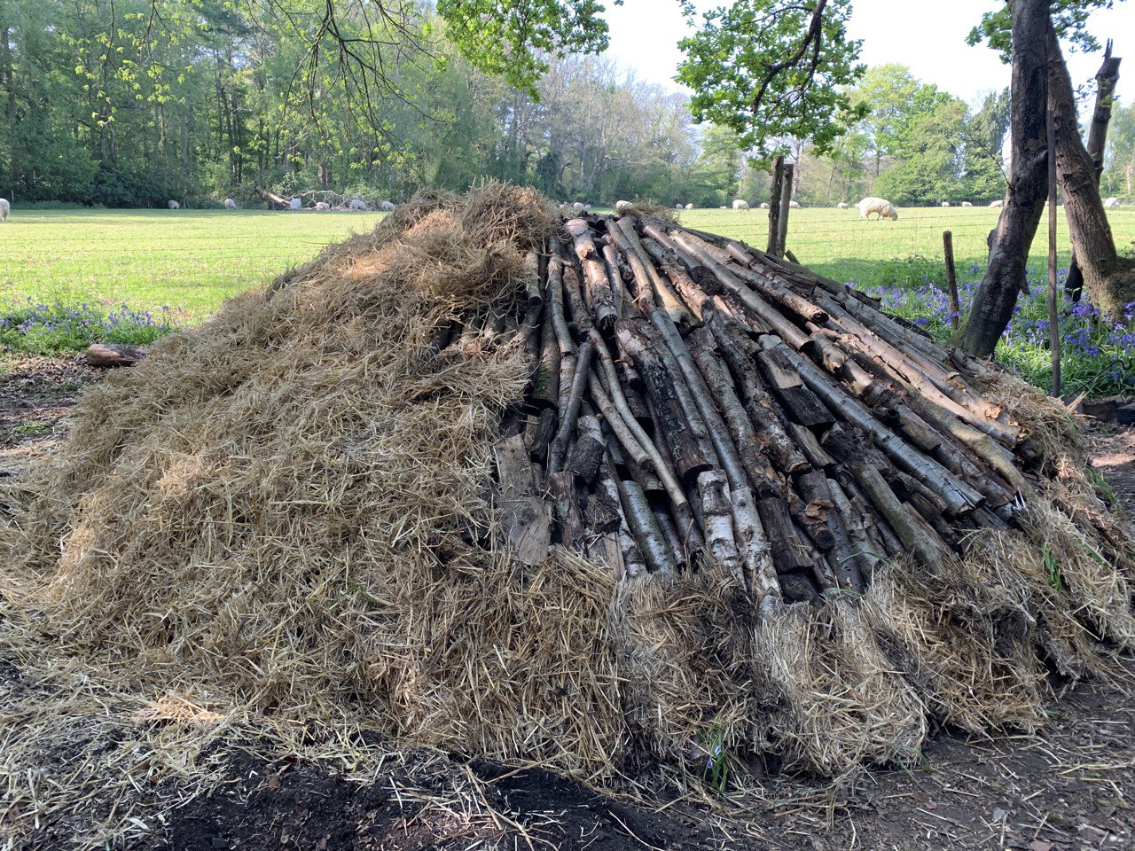 BELTAINE CHARCOAL BURN ~ Volunteer Action Camp - image 6