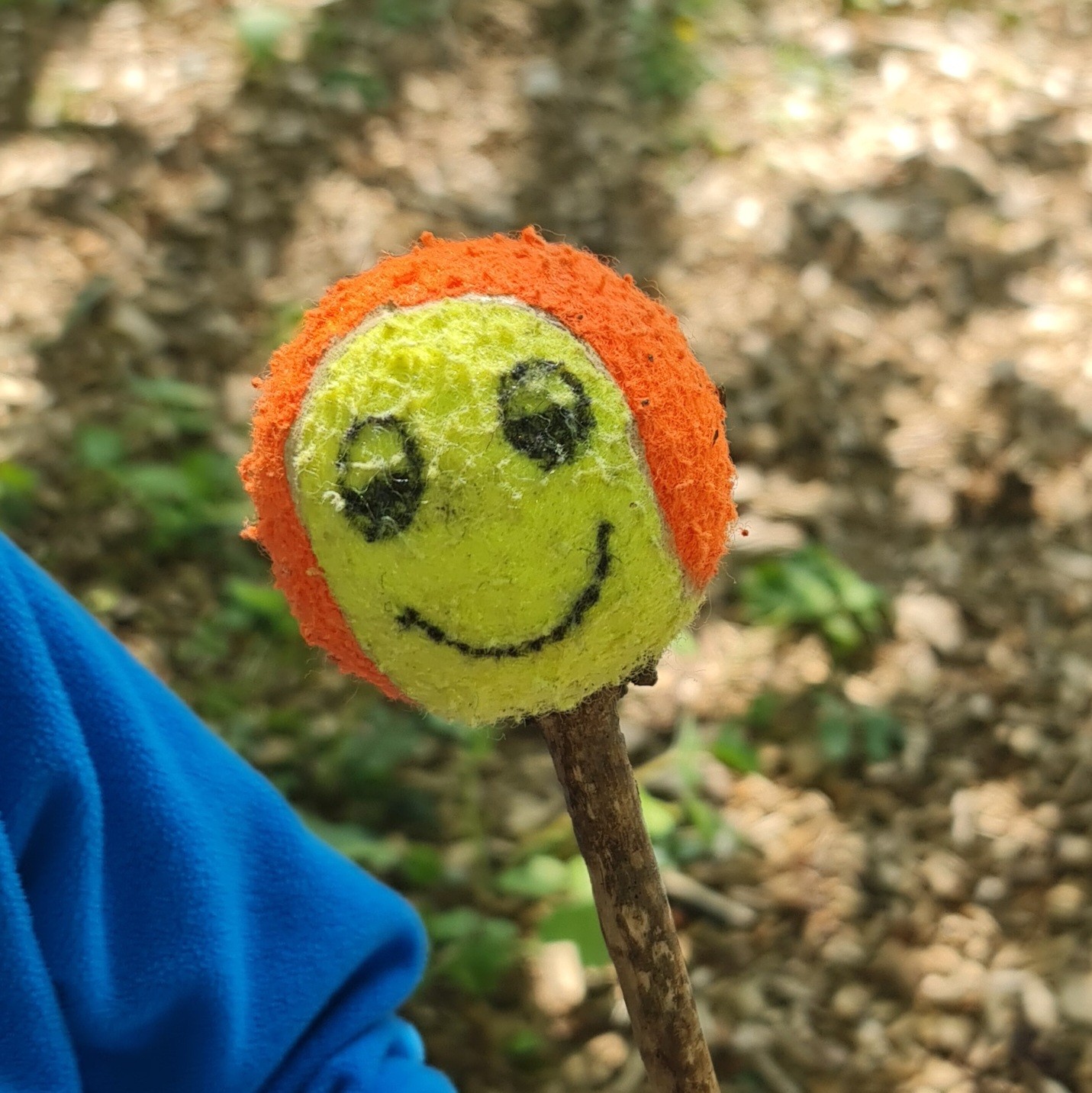 Friday Forest School - image 7