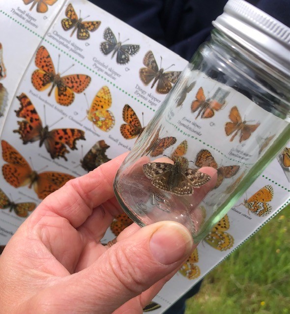 Durham Wildlife Trust Holiday Activities - image 5
