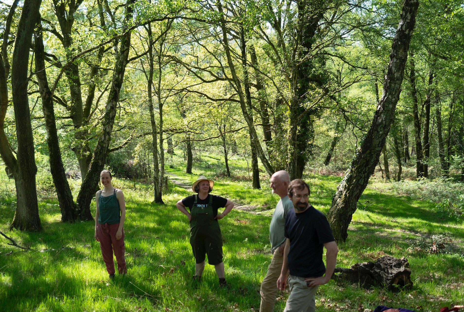 Embodied Ecology - image 7