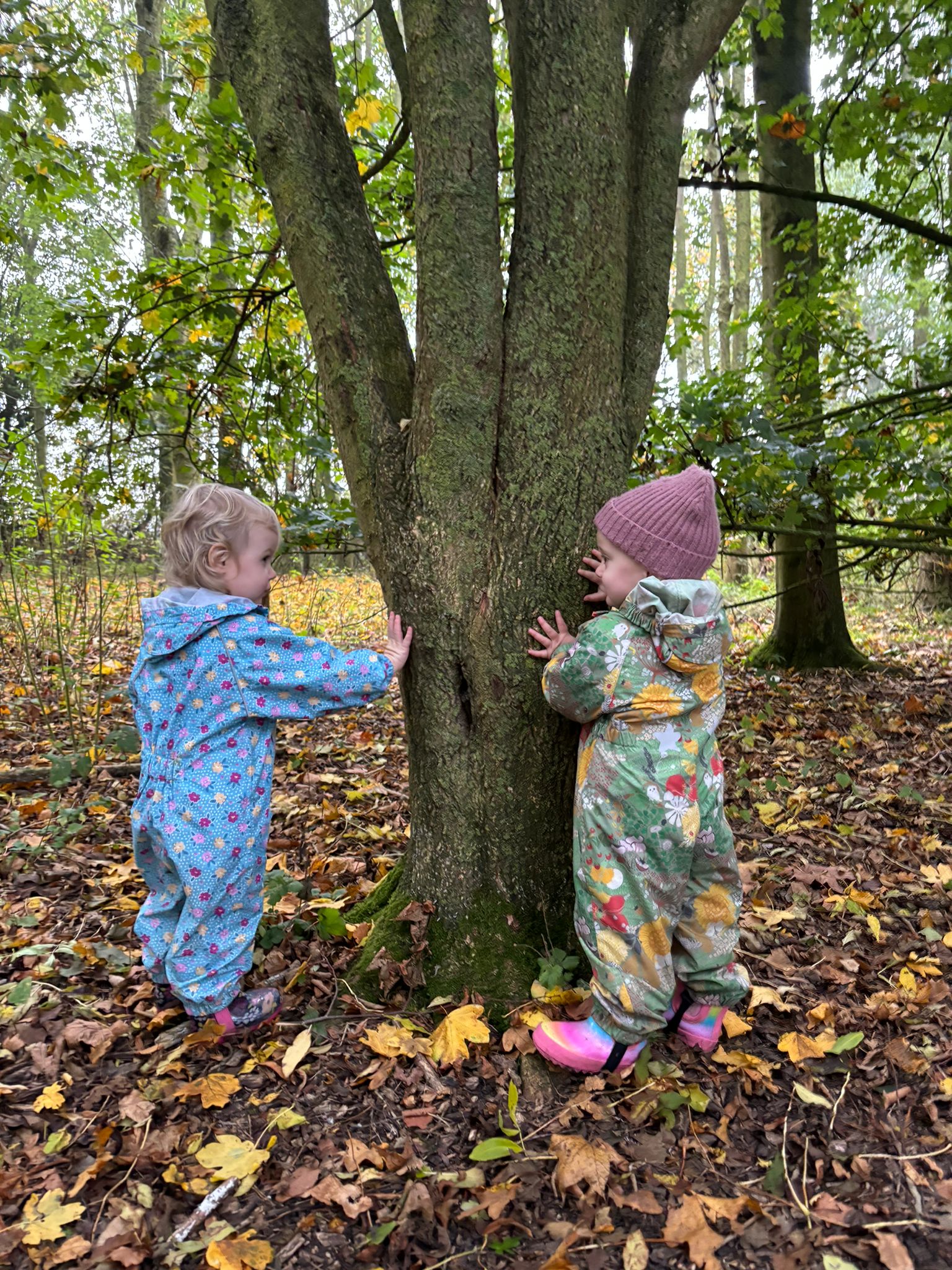 Little Woodies - image 4
