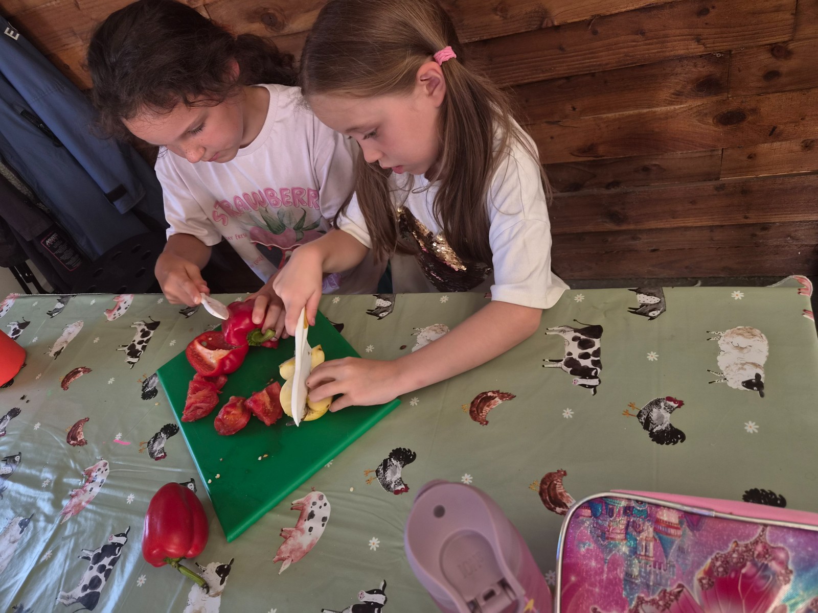 Zoe's Party Animals- Holiday club- Inc HAF - image 13