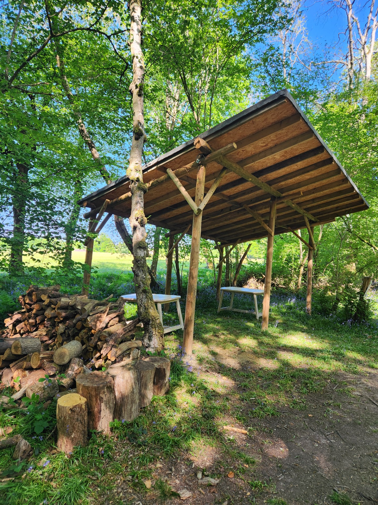 Half Term at Rowfant - image 6