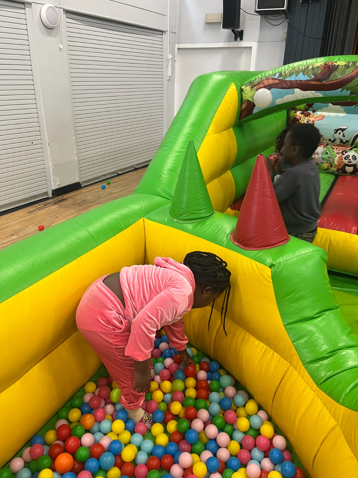 Garden Project, Inflatables...FUN! - image 5