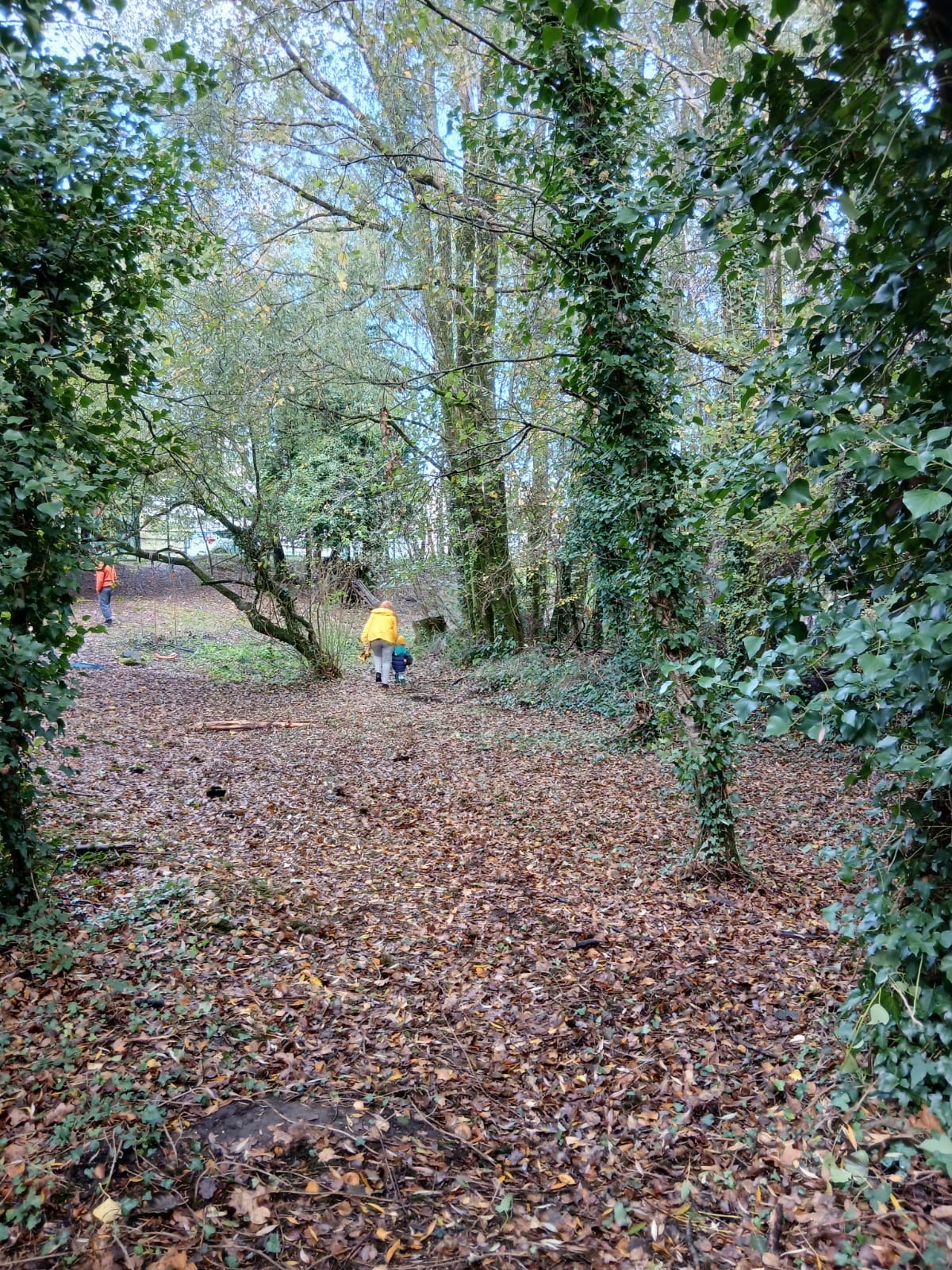 Lon Las Home Ed Explorers block mentored by Forest School SNPT