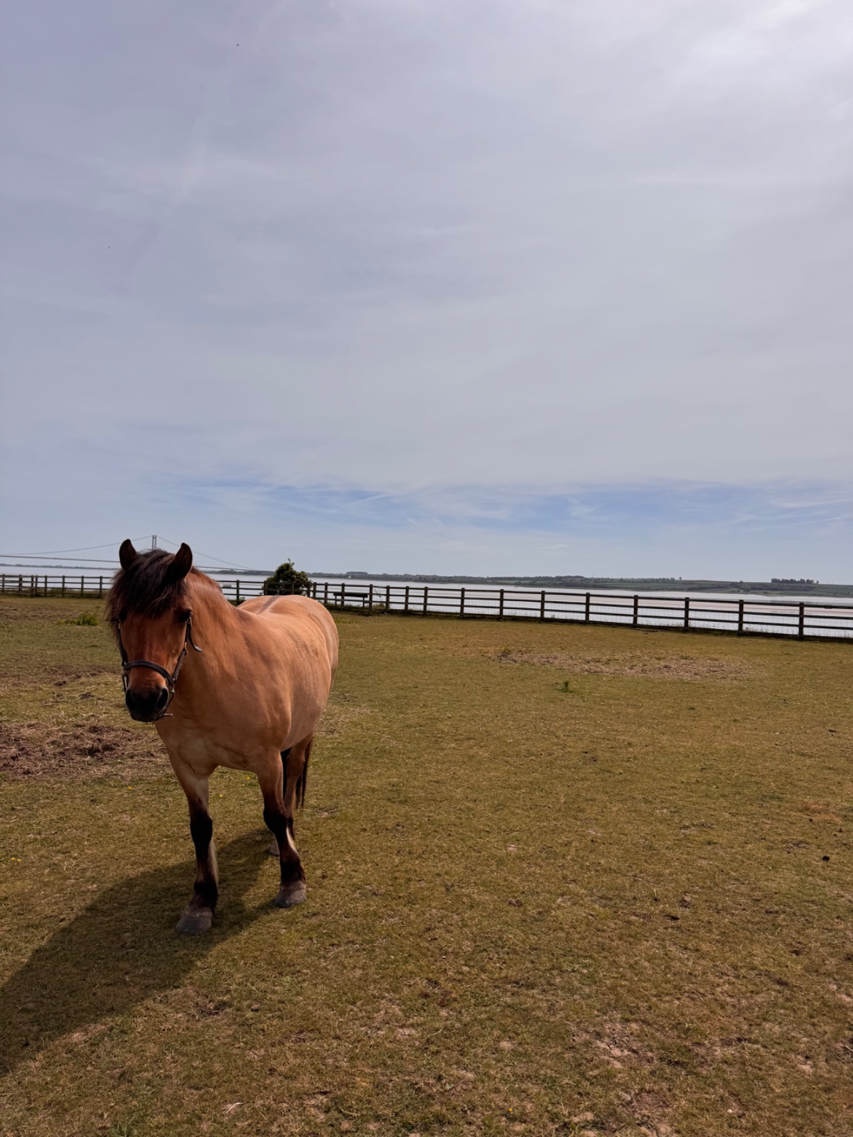 SEND Animal Adventures @ North Ferriby - image 11