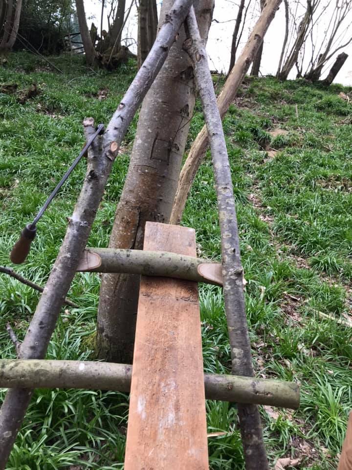 Coppicing Day - image 6