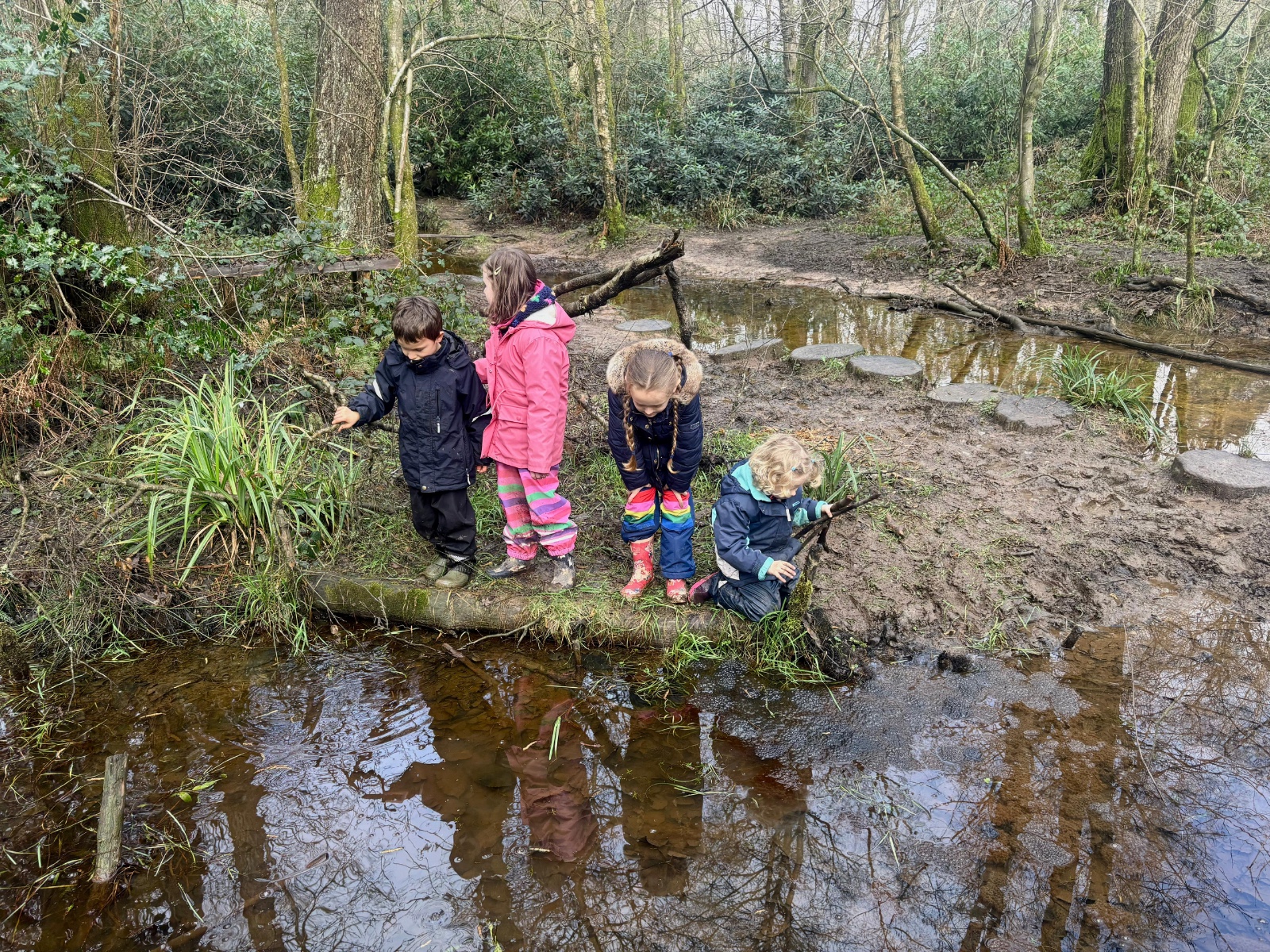 Woodland Magic at Chelwood Gate - image 4