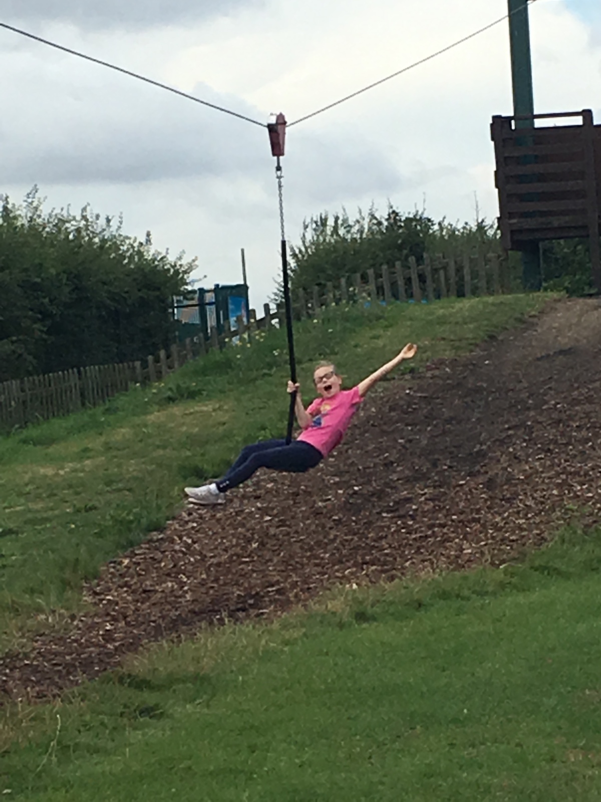 Barleylands Farm Activity Day - 2 credits - image 3