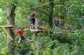 Y Plus  - Wild Wood adventure - image 2