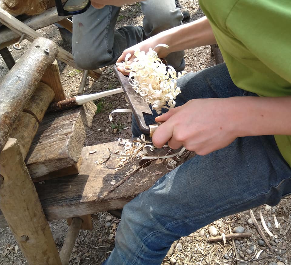 Coppicing Day - image 3