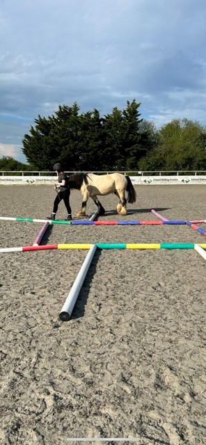 Wight Horse CIC HAF Equine Activities - image 9