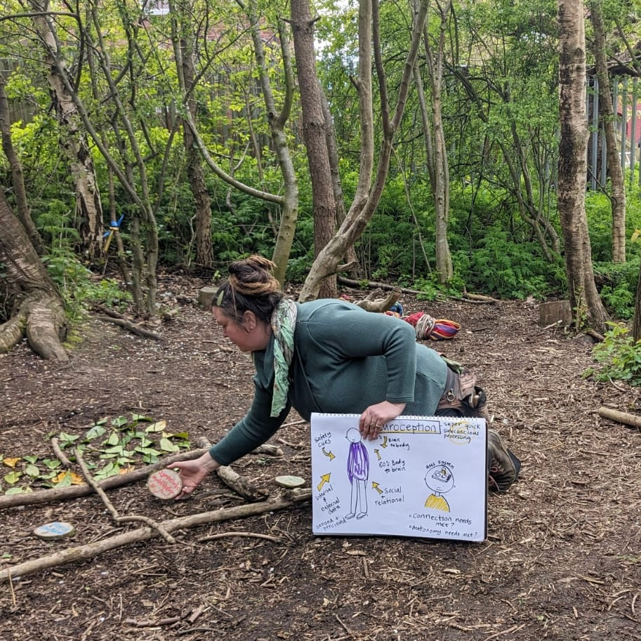 Nature and the nervous system block mentored by Nic Harding