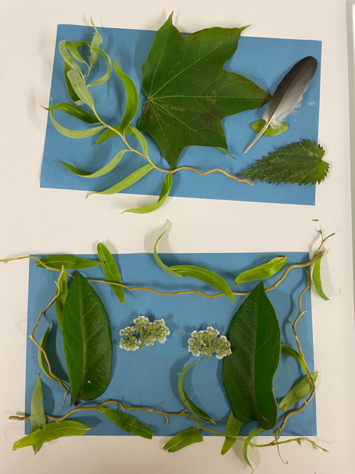 198 Contemporary Arts School - image 11