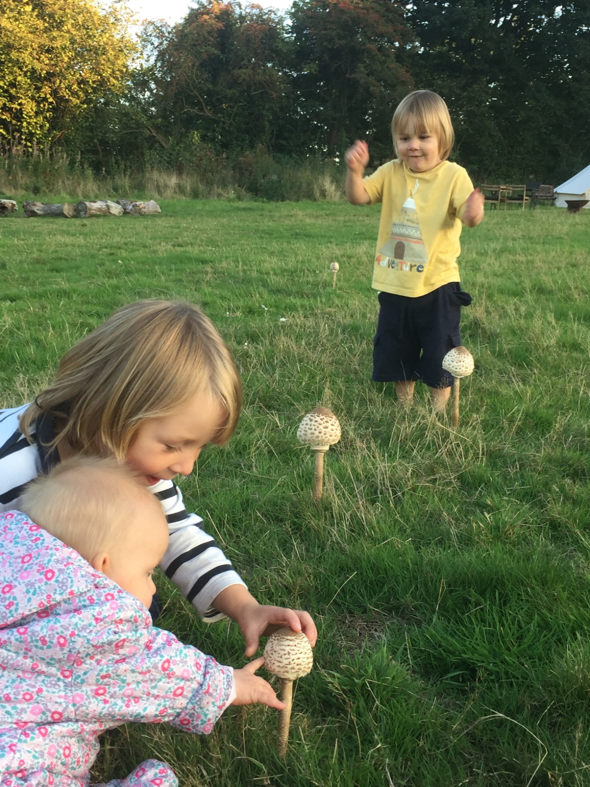 Fungi, Fire and Family Fun! block mentored by Lymley Wood
