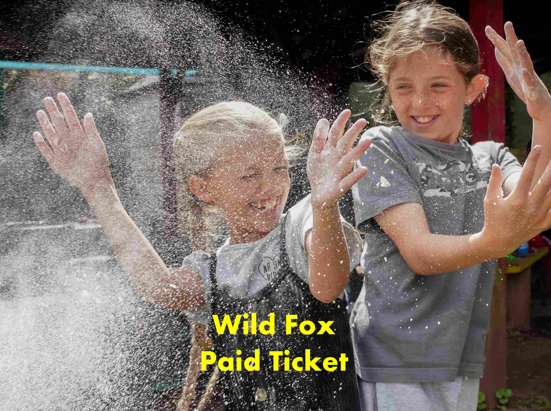 Wild Fox - Paid Ticket block mentored by Play Torbay