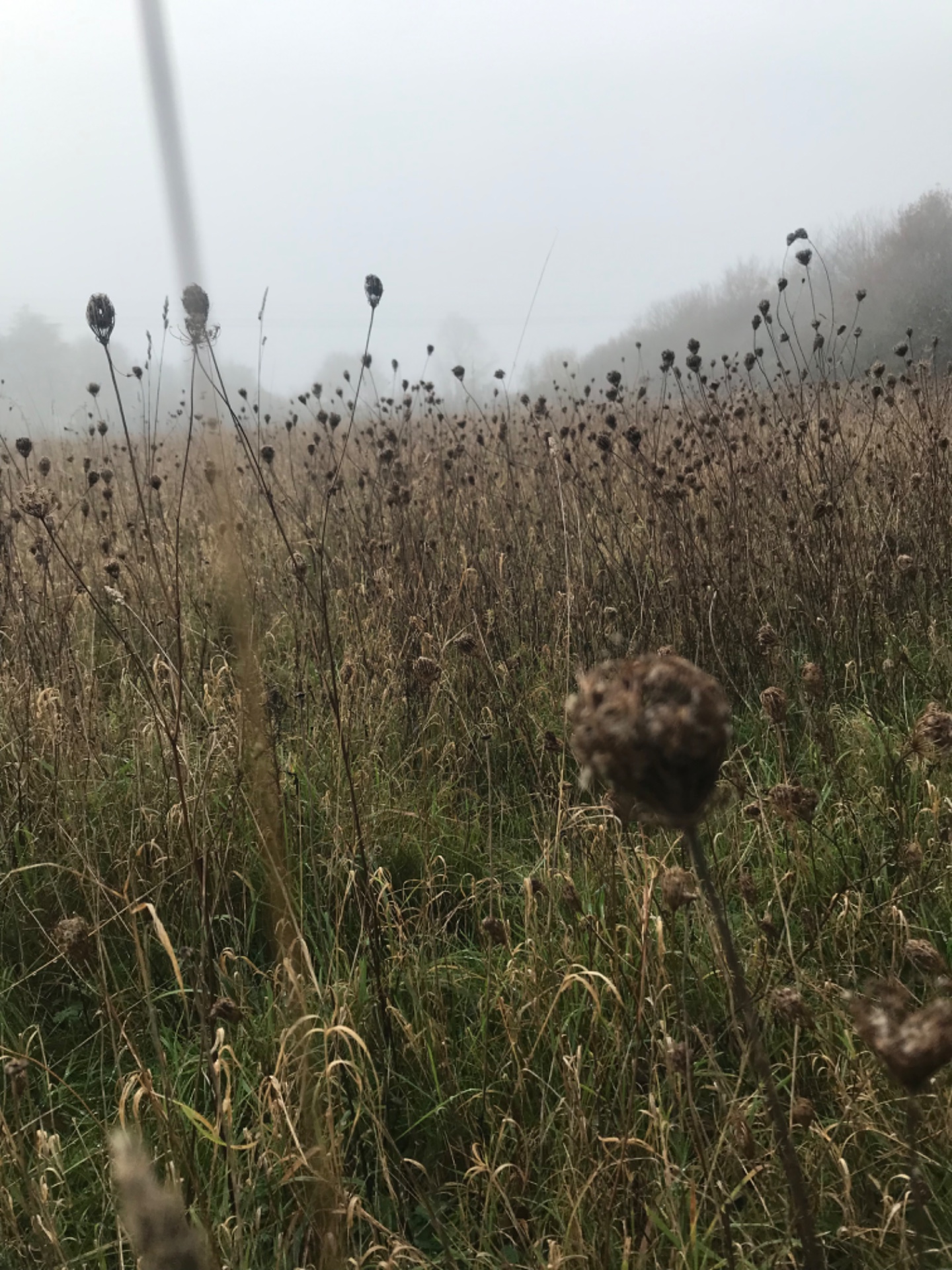 Portfolio Showcase Of November 2024 - image 2