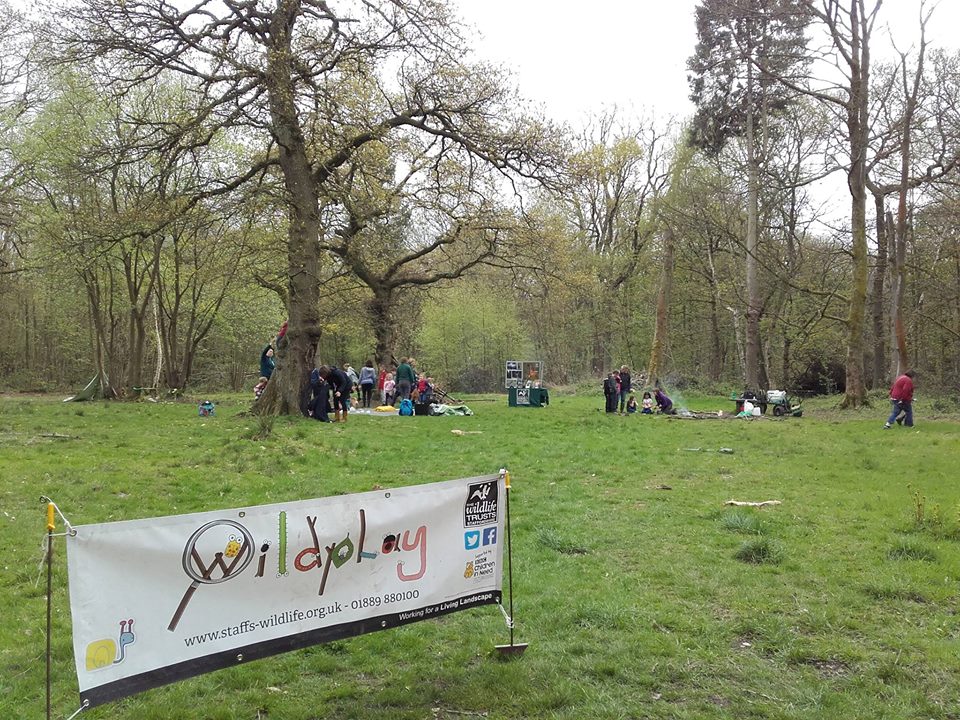 Summer Wildplay at Hem Heath Woods - image 3