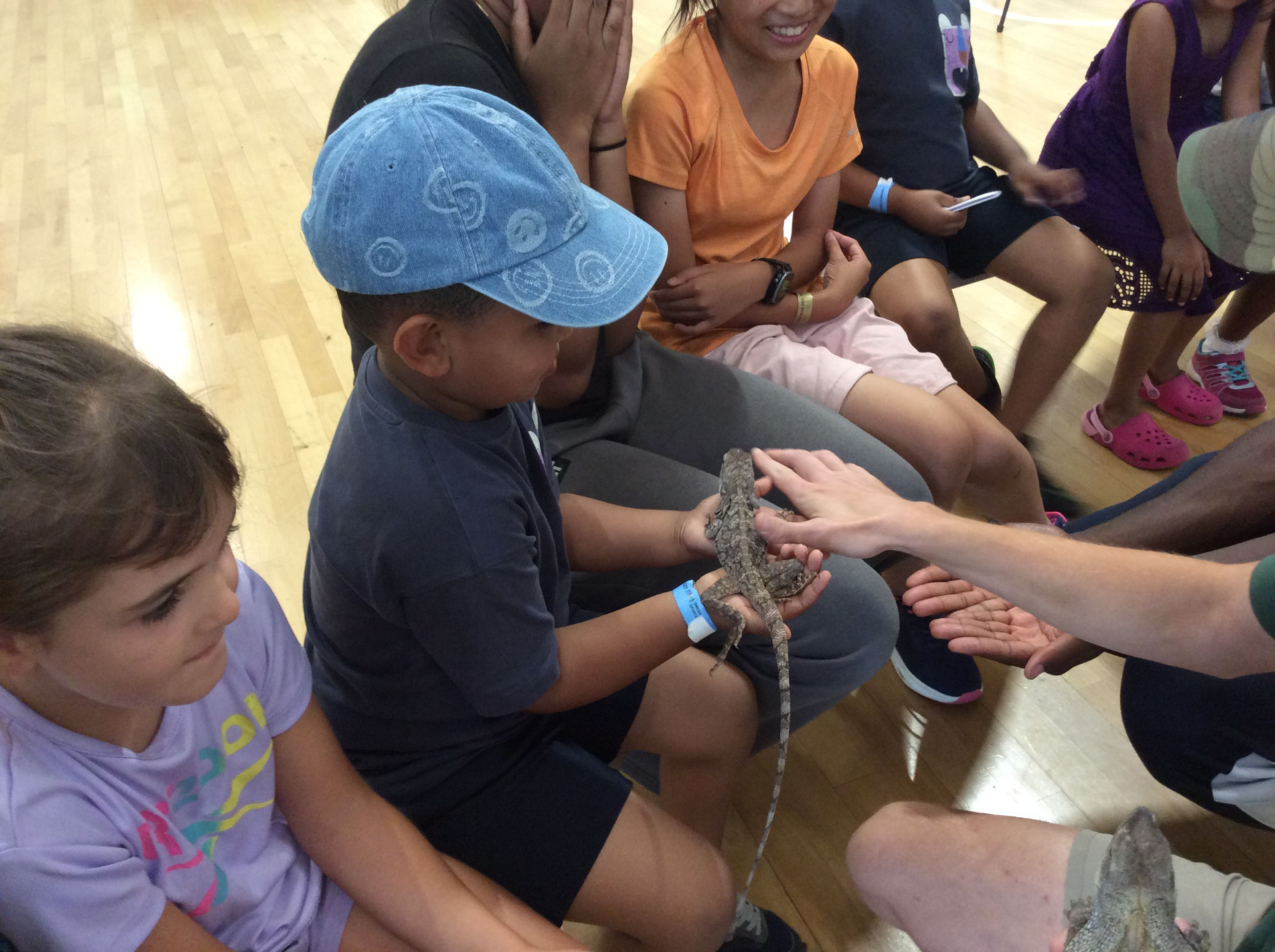 Omega Sportz @Nelson Primary School - image 8