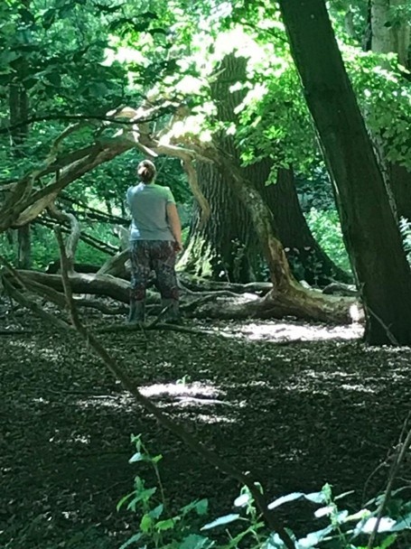 Thornham Walks Forest Bathing - image 34