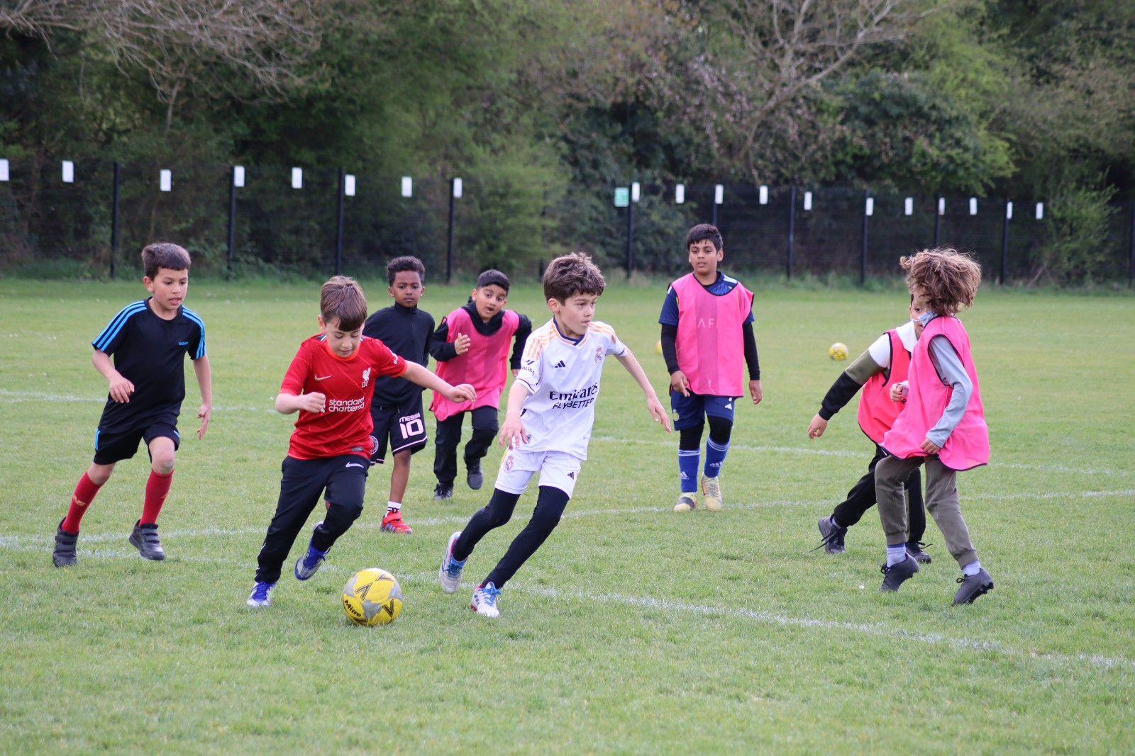 SFK Sport Group - Judgemeadow - HAF Club - image 7