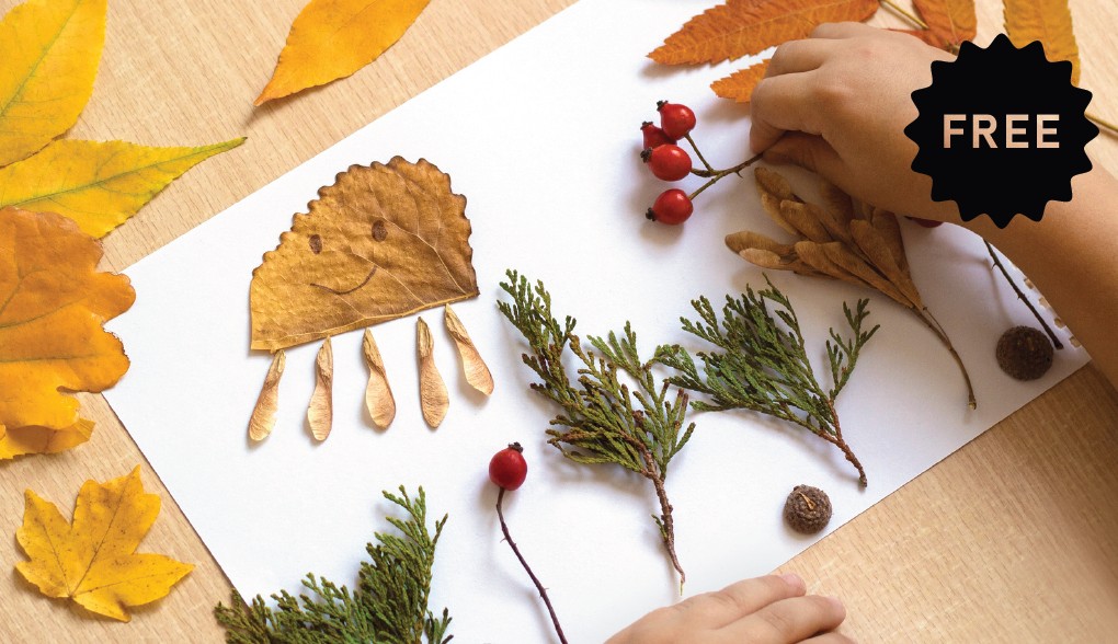 Healthy Lifestyles block mentored by Education Futures Trust 