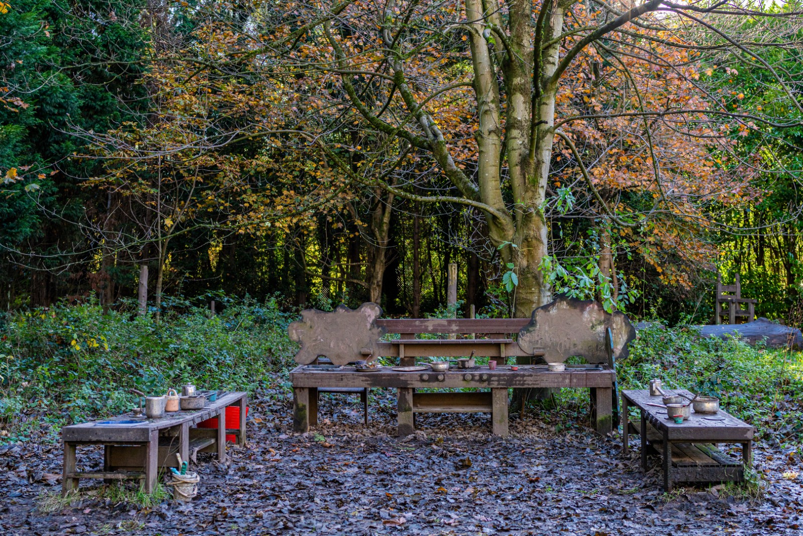 Staffs Wildlife snap, crackle & campfire - image 2