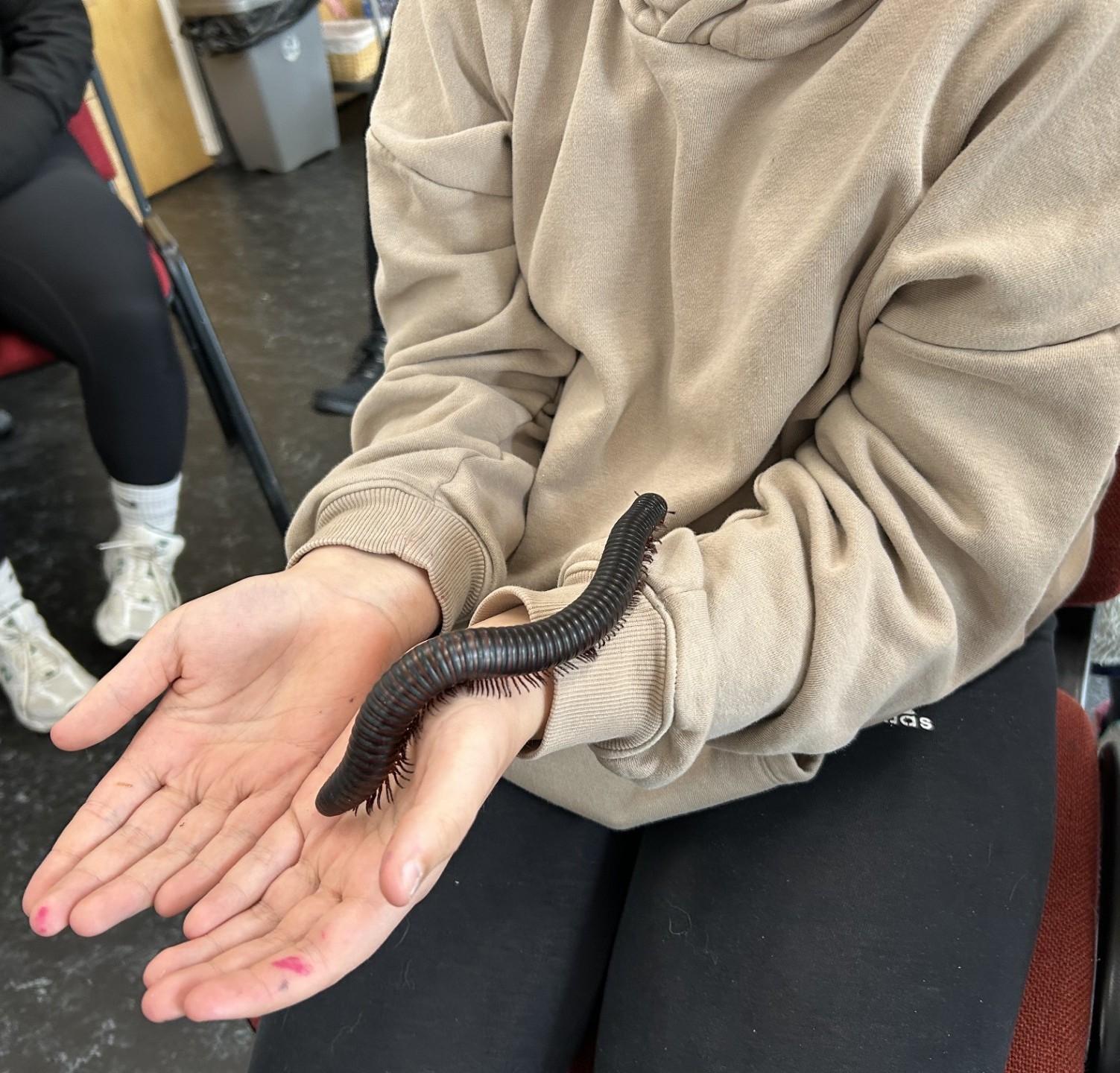 Doodle Art & Crafts - image 9